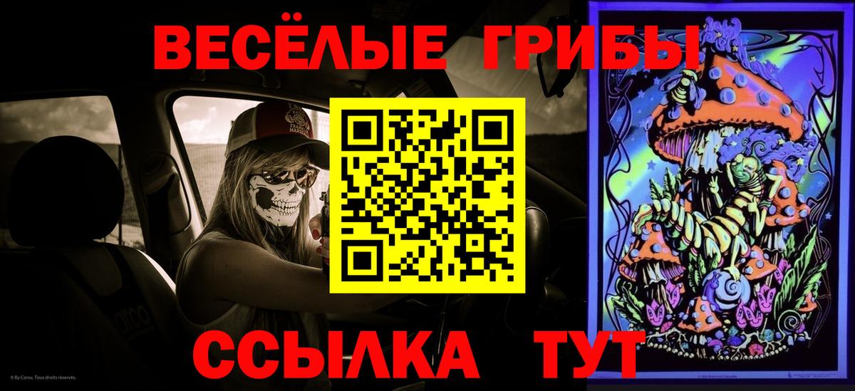 Абакан  Псилоцибиновые грибы Psilocybine cubensis  Вход с VPN  купить   Псилоцибиновые грибы GOLDEN TEACHER 