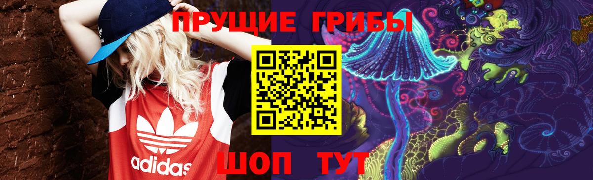 Галлюциногенные грибы прущие грибы Абакан